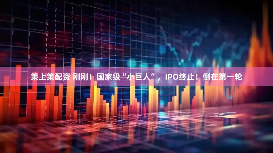 策上策配资 刚刚！国家级“小巨人”，IPO终止！倒在第一轮